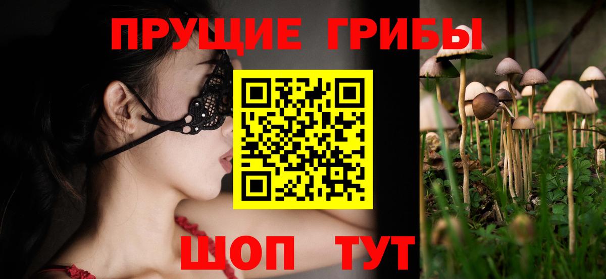 Галлюциногенные грибы Psilocybine cubensis Кыштым